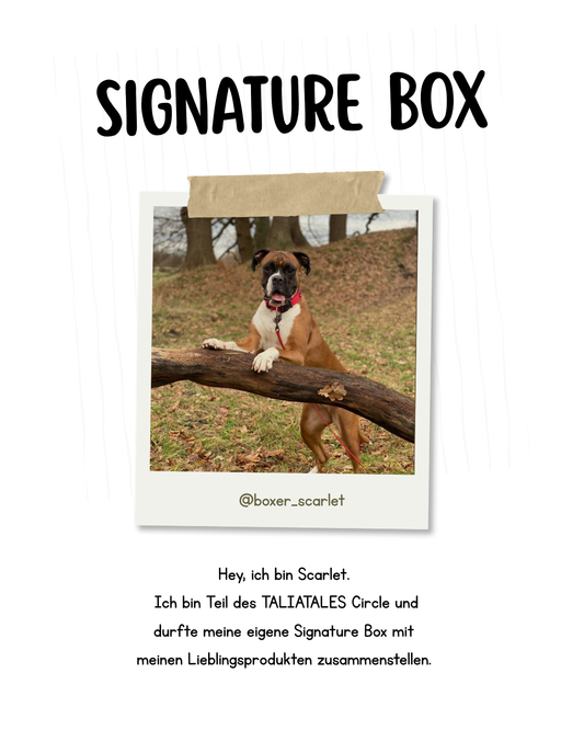 Signature Box Scarlet