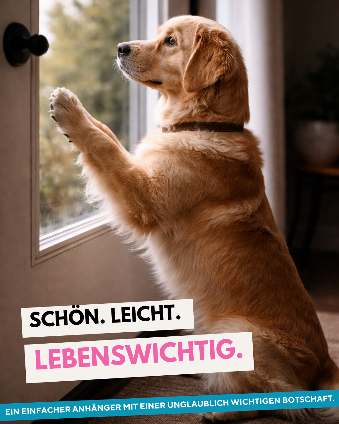 Schlüsselanhänger „Mein Hund ist alleine zuhause“ Rosa – inkl. Notfallkarte