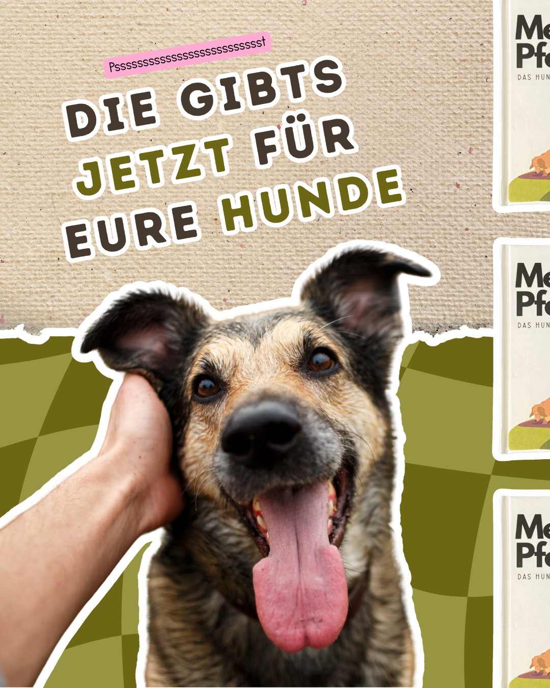 Meine Pfotenfreunde