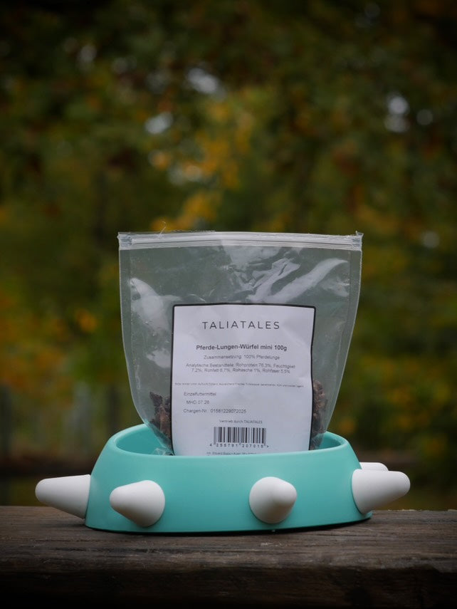 Umweltfreundlicher geneigter Napf für Hunde - Hergestellt in Italien