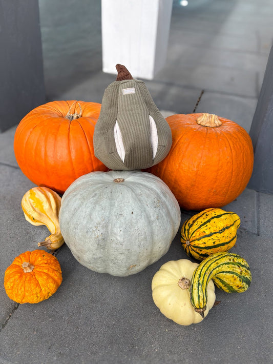 Butternut Kürbis