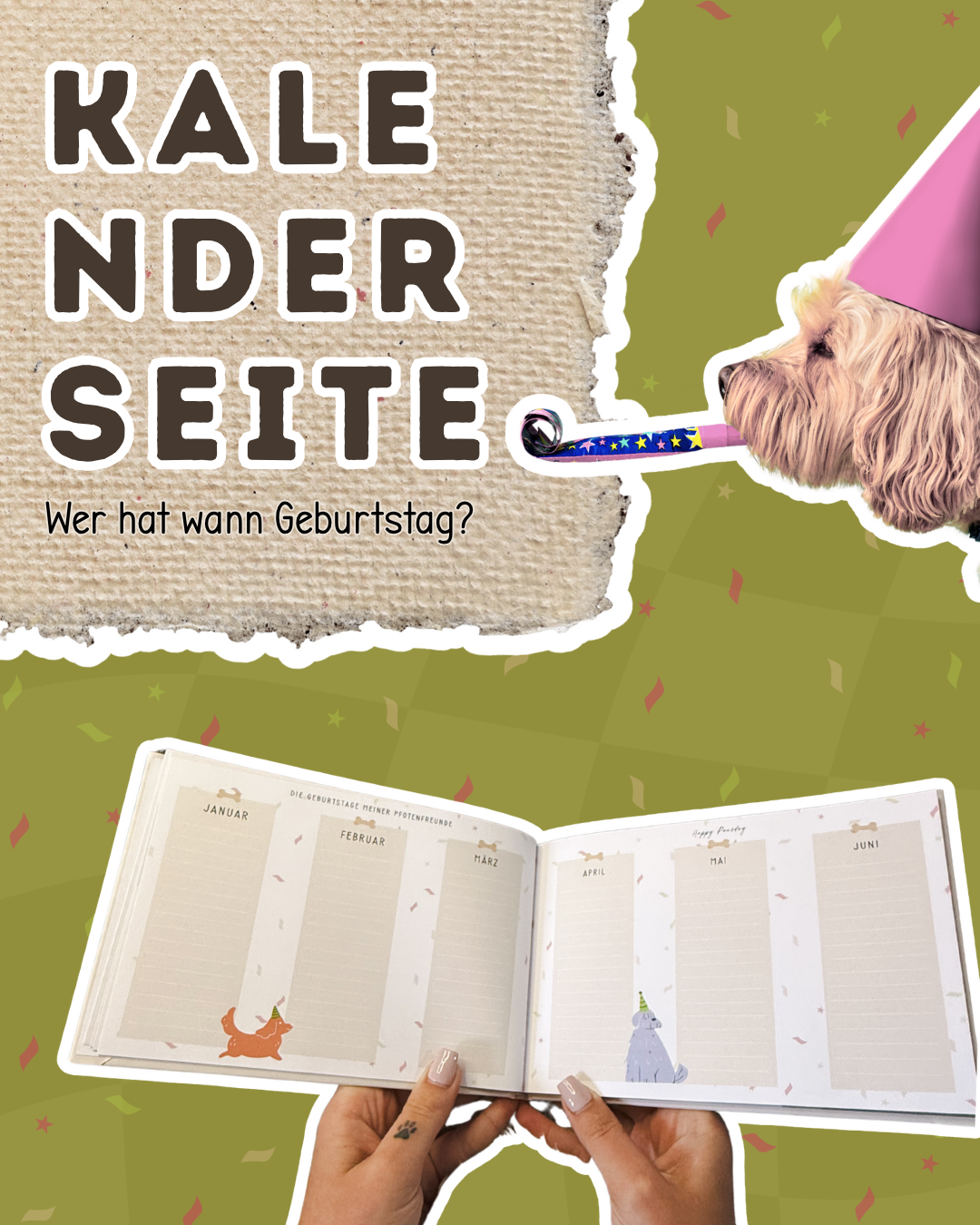 Meine Pfotenfreunde