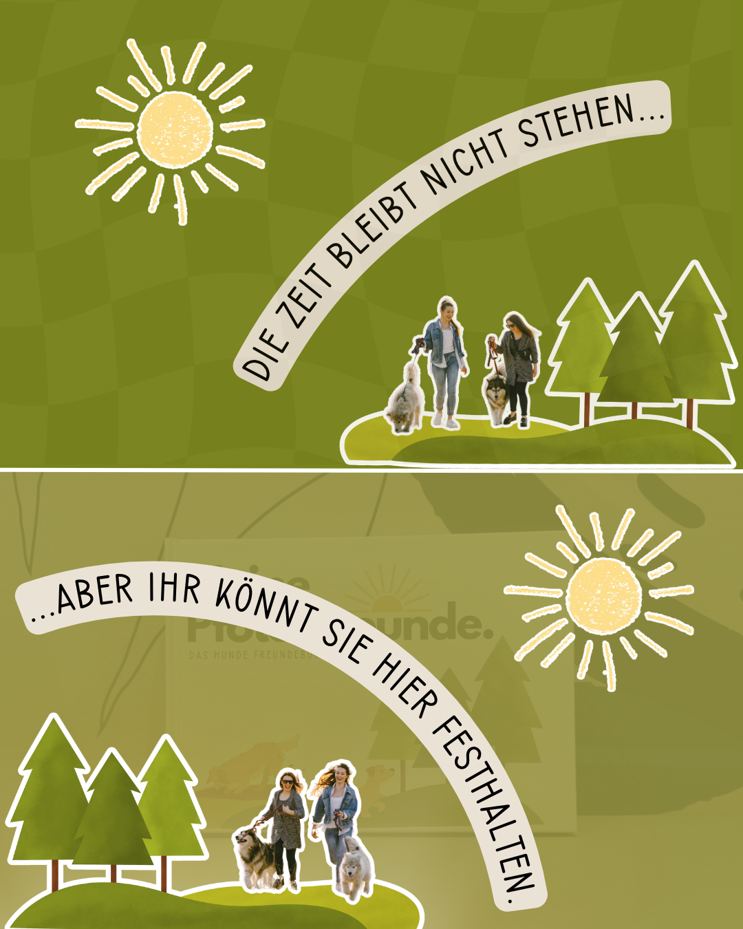 Meine Pfotenfreunde