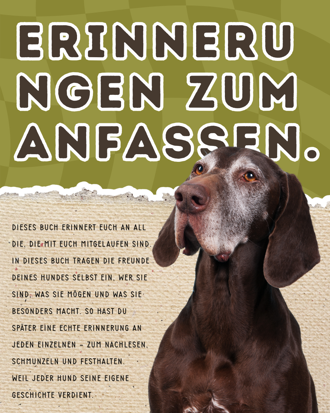 Meine Pfotenfreunde