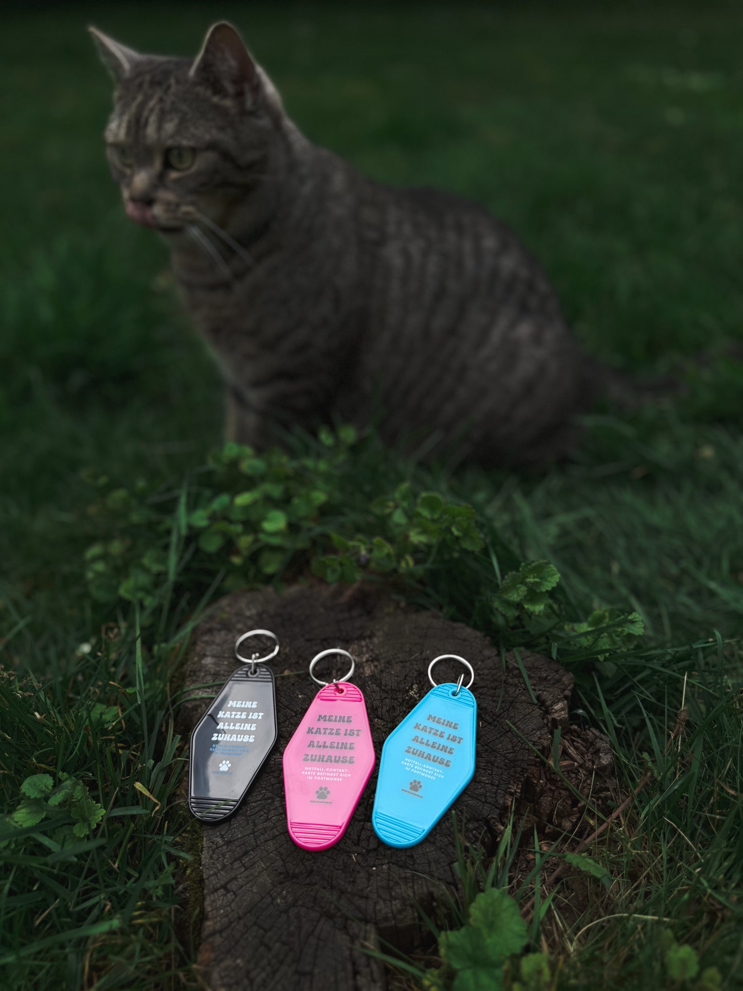 Schlüsselanhänger „Meine Katze ist alleine zuhause“ Pink – inkl. Notfallkarte