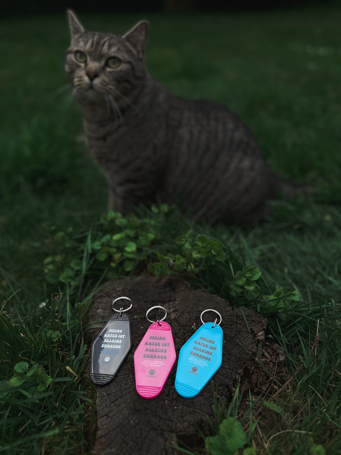 Schlüsselanhänger „Meine Katze ist alleine zuhause“ Pink – inkl. Notfallkarte
