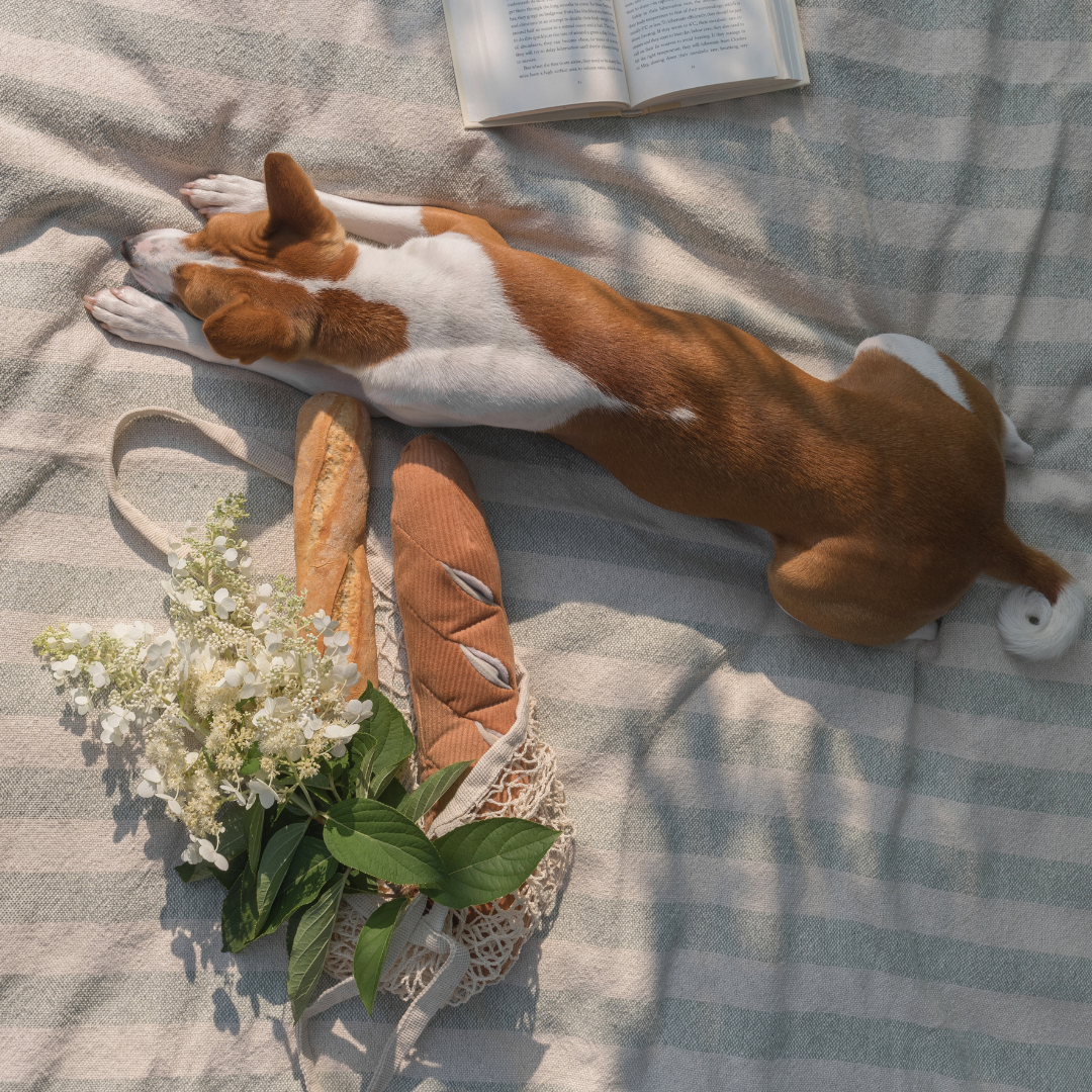 Baquette