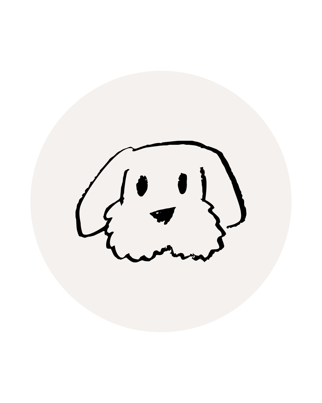 Notfall – Hund