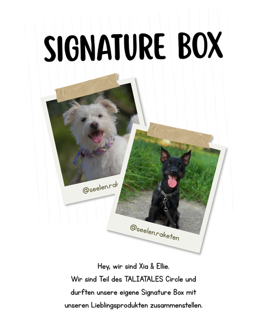 Signature Box Xia & Ellie