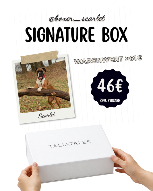 Signature Box Scarlet