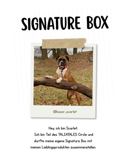 Signature Box Scarlet