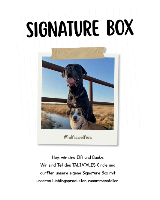 Signature Box Elfi & Bucky