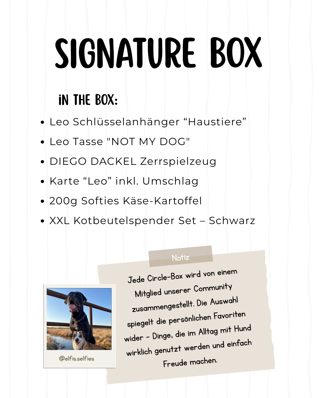 Signature Box Elfi & Bucky