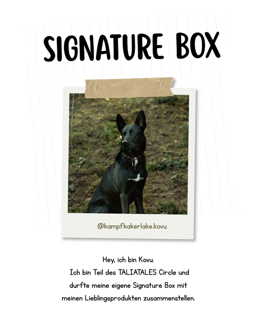 Signature Box Kovu