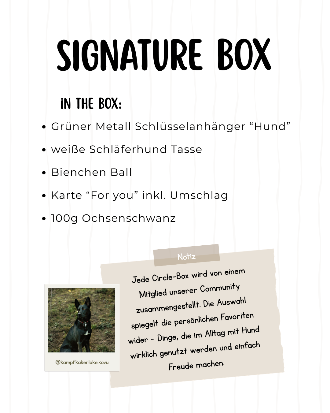 Signature Box Kovu