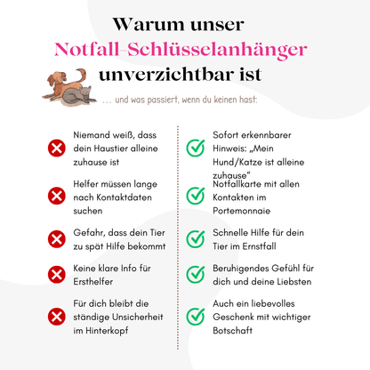 Schlüsselanhänger „Mein Hund ist alleine zuhause“ Gold – inkl. Notfallkarte