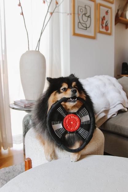 Schallplatte "Bark to Beat"