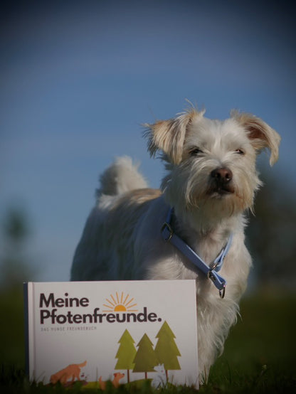 Meine Pfotenfreunde
