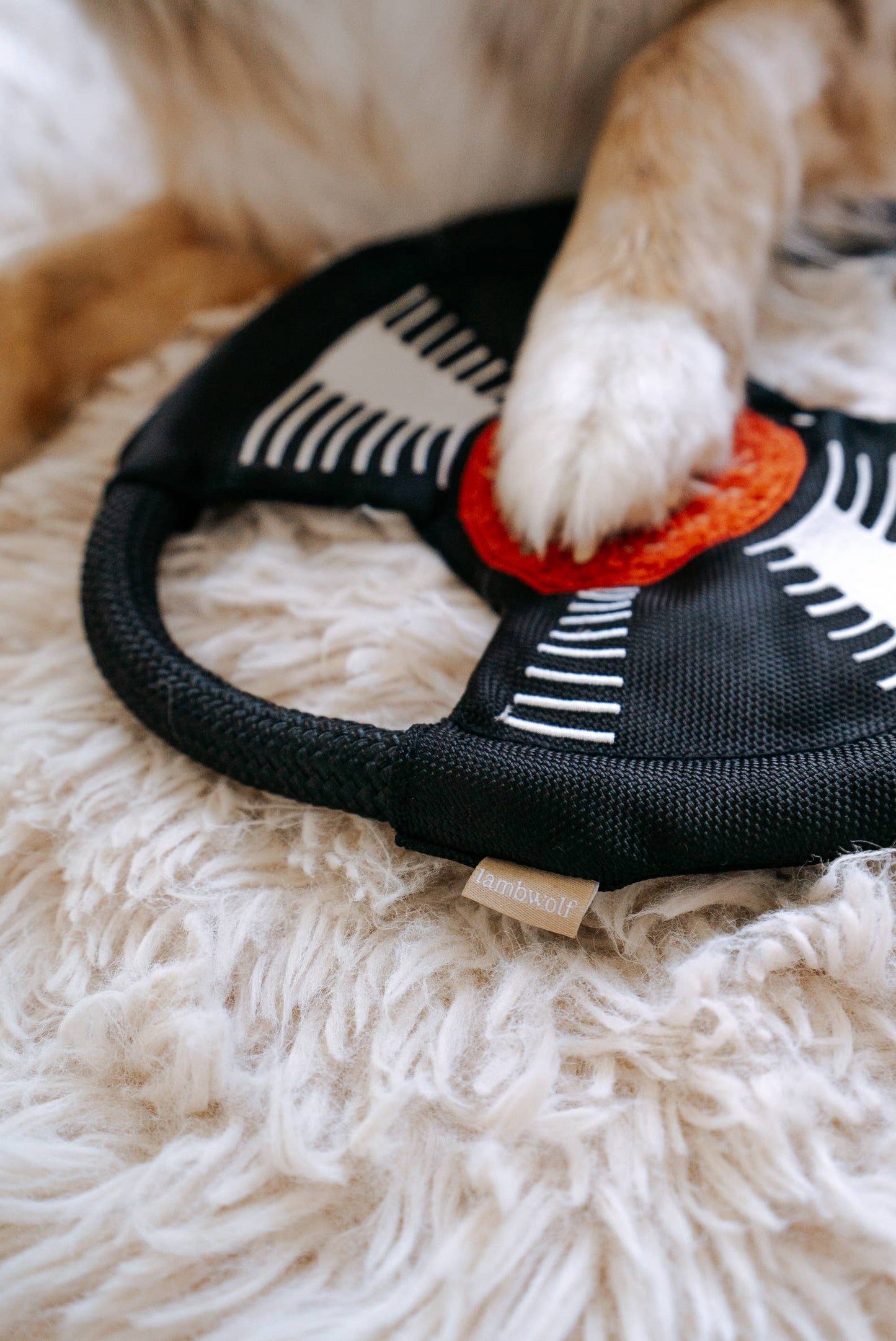 Schallplatte "Bark to Beat"