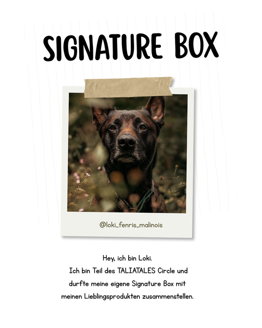 Signature Box Loki