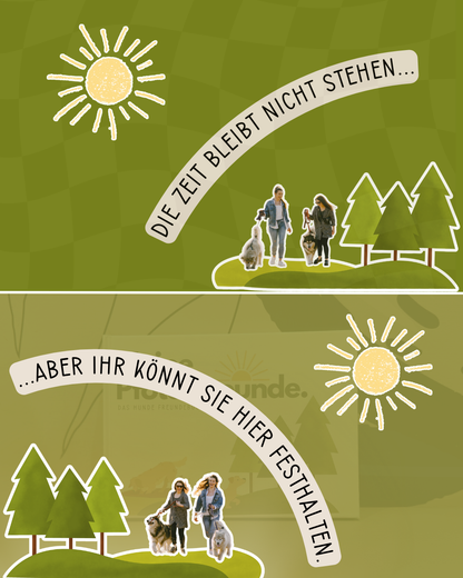 Meine Pfotenfreunde