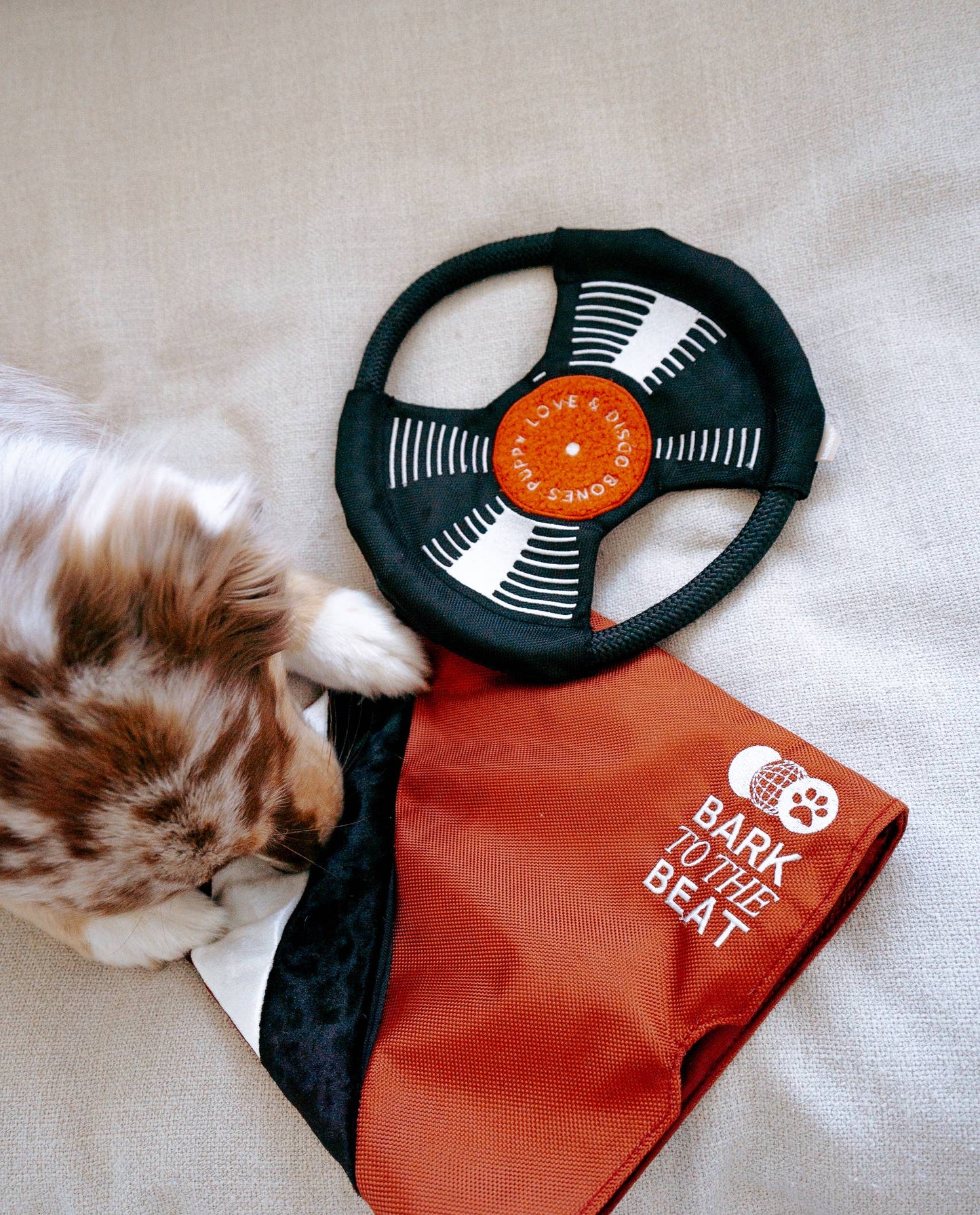 Schallplatte "Bark to Beat"