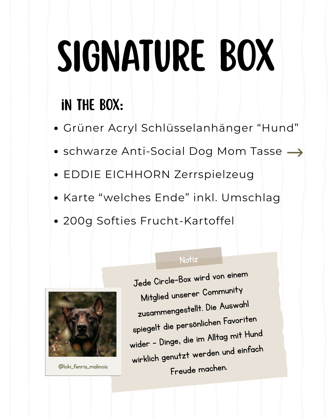 Signature Box Loki