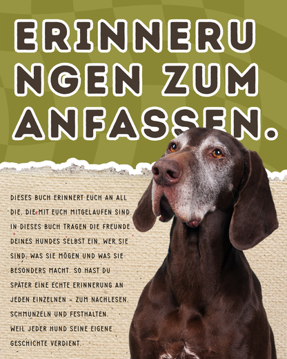 Meine Pfotenfreunde