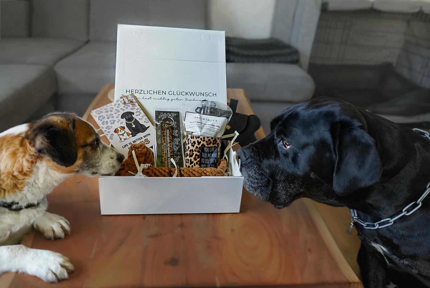Signature Box Elfi & Bucky
