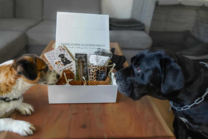 Signature Box Elfi & Bucky