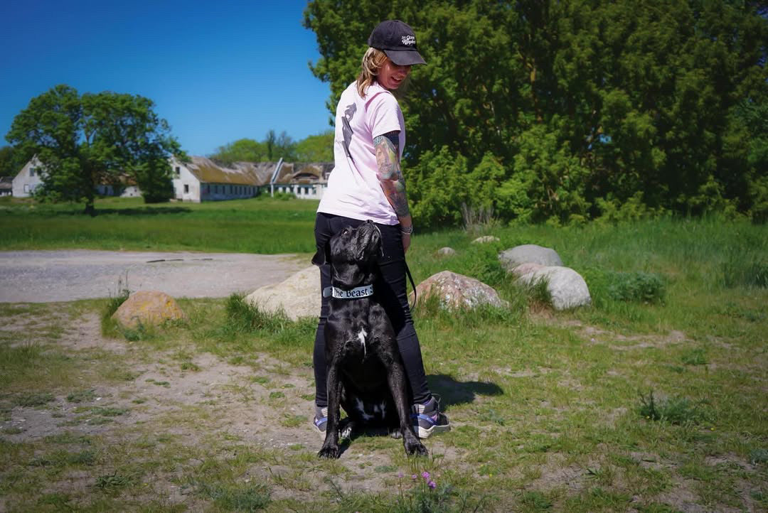 Cane Corso Owner T-Shirt