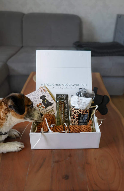 Signature Box Elfi & Bucky