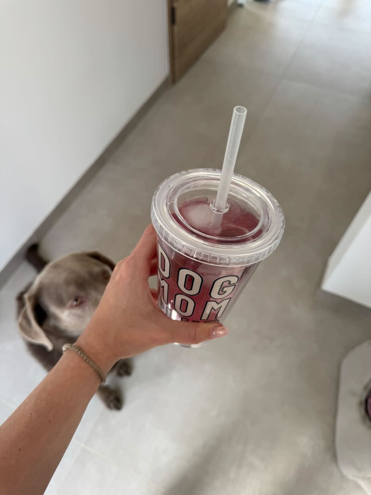 Dog Mom Club – Dein perfekter Trinkbecher für unterwegs!