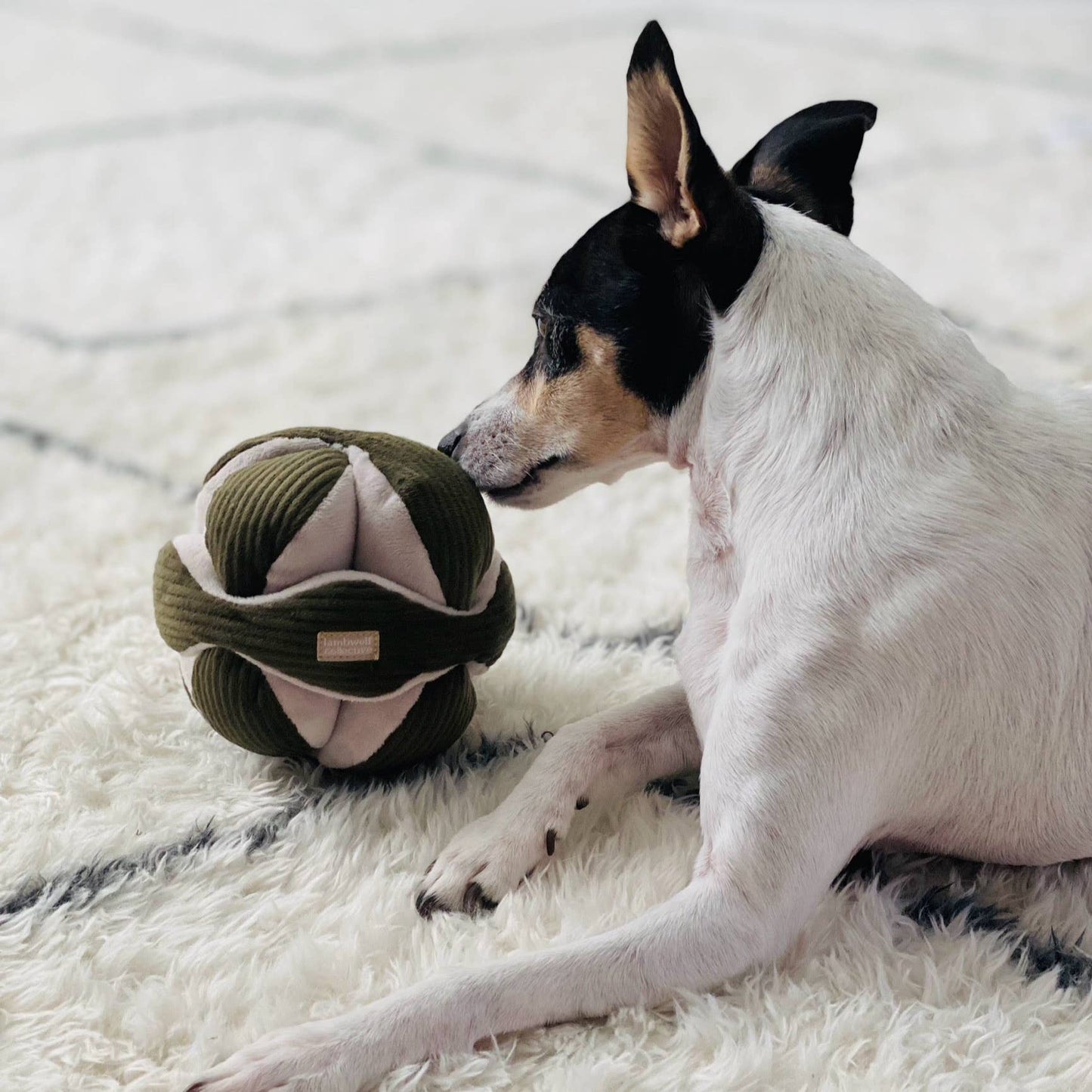 MONTI Schnüffelball Olive