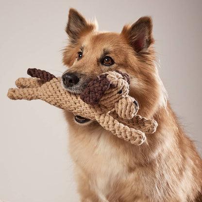 DOGGY DOG