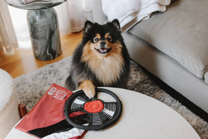 Schallplatte "Bark to Beat"