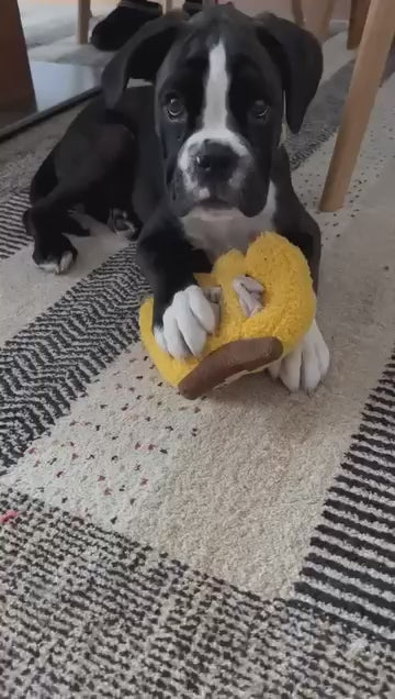 Banane