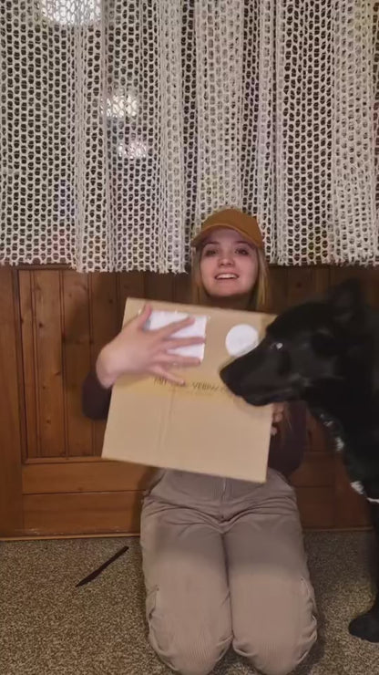 Signature Box Kovu