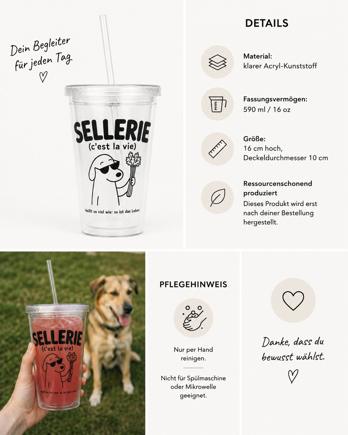Sellerie – Dein perfekter Trinkbecher für unterwegs!